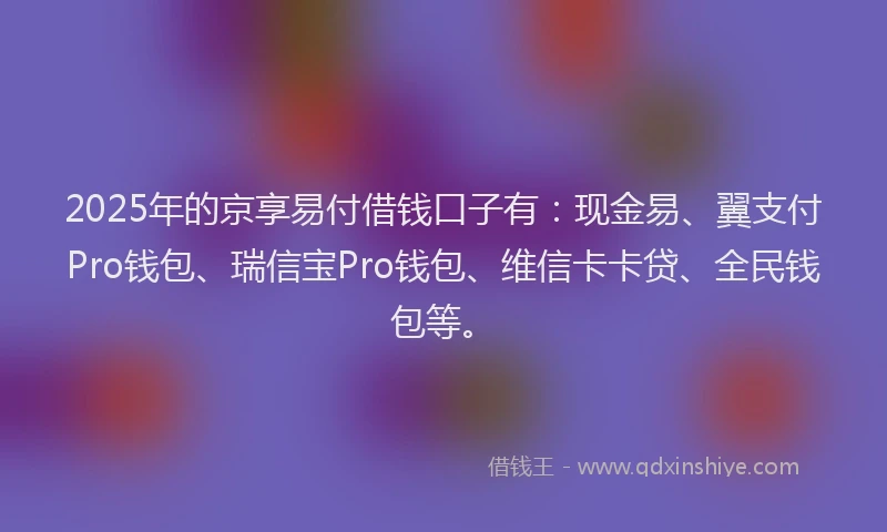 2025年的京享易付借钱口子有：现金易、翼支付Pro钱包、瑞信宝Pro钱包、维信卡卡贷、全民钱包等。