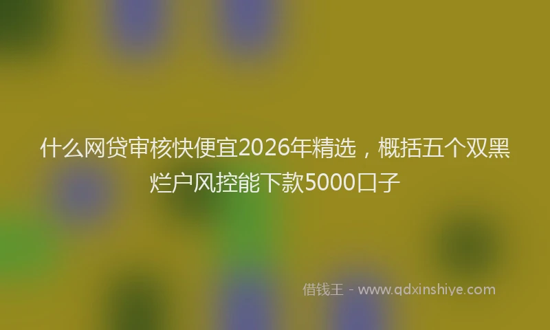 什么网贷审核快便宜2026年精选，概括五个双黑烂户风控能下款5000口子
