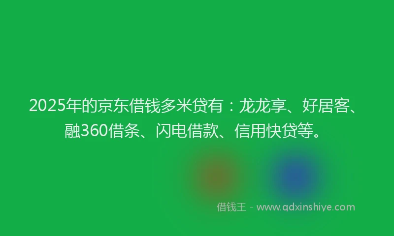 2025年的京东借钱多米贷有：龙龙享、好居客、融360借条、闪电借款、信用快贷等。