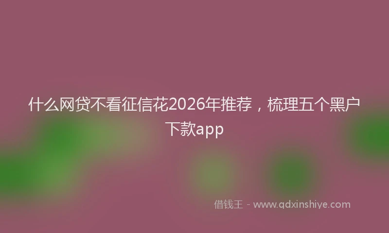 什么网贷不看征信花2026年推荐，梳理五个黑户下款app