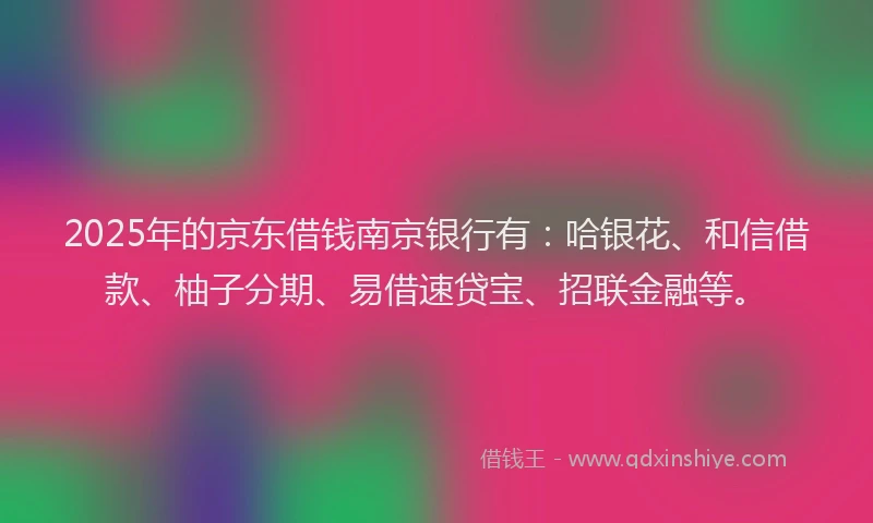 2025年的京东借钱南京银行有：哈银花、和信借款、柚子分期、易借速贷宝、招联金融等。