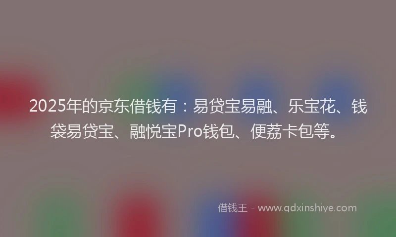 2025年的京东借钱有：易贷宝易融、乐宝花、钱袋易贷宝、融悦宝Pro钱包、便荔卡包等。