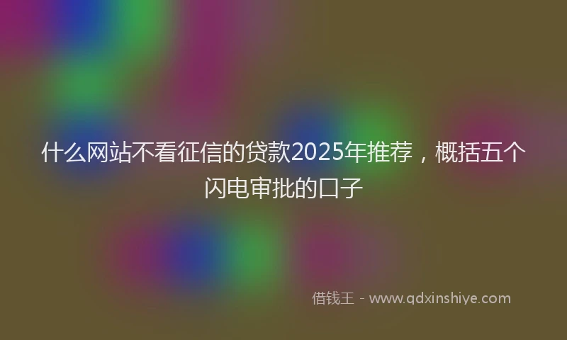 什么网站不看征信的贷款2025年推荐，概括五个闪电审批的口子