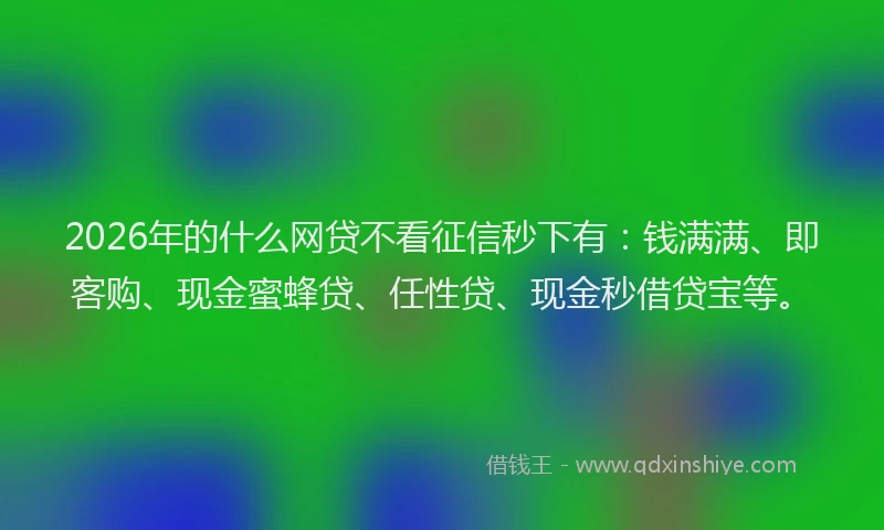 2026年的什么网贷不看征信秒下有：钱满满、即客购、现金蜜蜂贷、任性贷、现金秒借贷宝等。