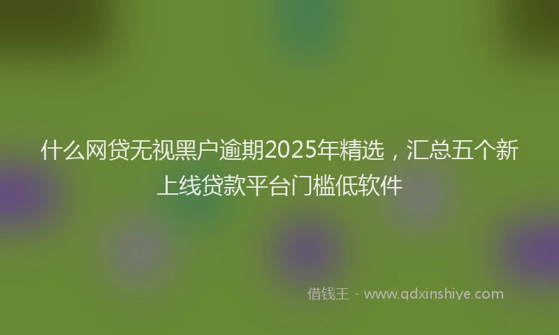 什么网贷无视黑户逾期2025年精选,汇总五个新上线贷款平台门槛低软件