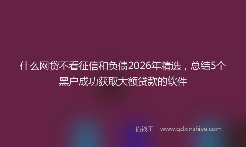 什么网贷不看征信和负债2026年精选，总结5个黑户成功获取大额贷款的软件