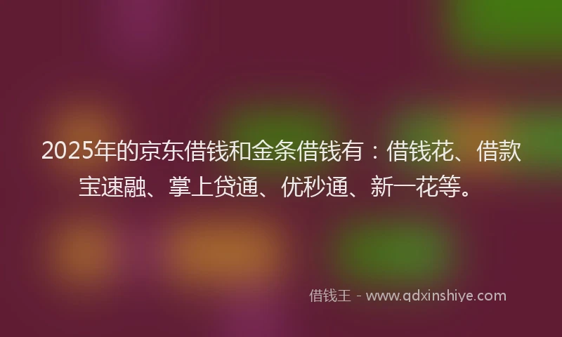 2025年的京东借钱和金条借钱有：借钱花、借款宝速融、掌上贷通、优秒通、新一花等。