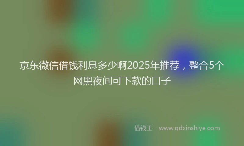 京东微信借钱利息多少啊2025年推荐，整合5个网黑夜间可下款的口子