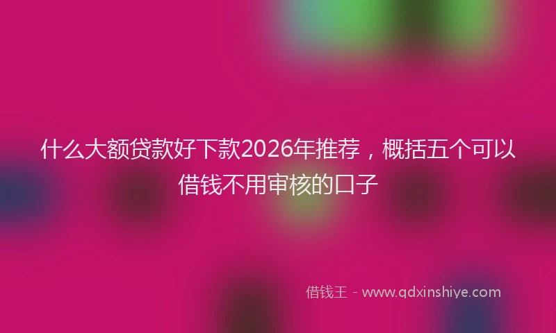 什么大额贷款好下款2026年推荐,概括五个可以借钱不用审核的口子