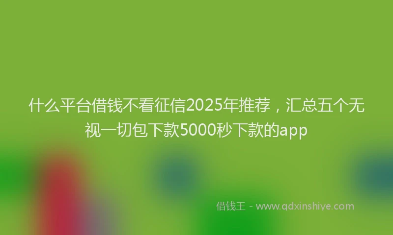 什么平台借钱不看征信2025年推荐，汇总五个无视一切包下款5000秒下款的app