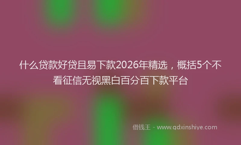 什么贷款好贷且易下款2026年精选，概括5个不看征信无视黑白百分百下款平台