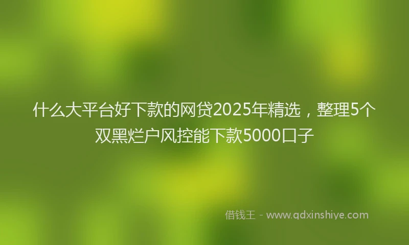 什么大平台好下款的网贷2025年精选，整理5个双黑烂户风控能下款5000口子