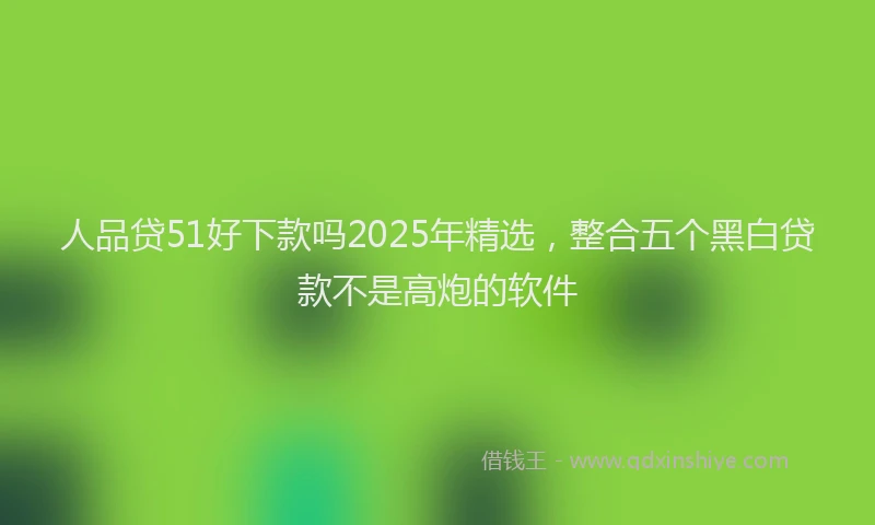 人品贷51好下款吗2025年精选，整合五个黑白贷款不是高炮的软件