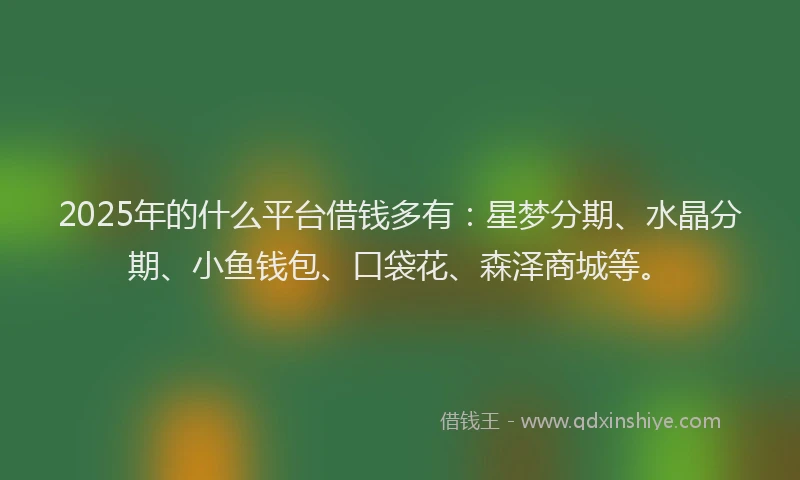 2025年的什么平台借钱多有：星梦分期、水晶分期、小鱼钱包、口袋花、森泽商城等。