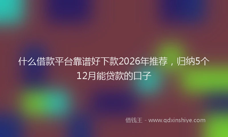 什么借款平台靠谱好下款2026年推荐，归纳5个12月能贷款的口子