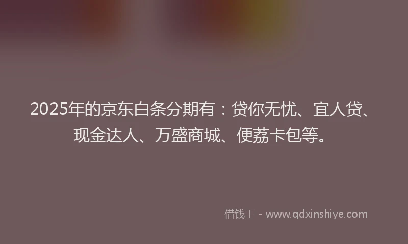 2025年的京东白条分期有：贷你无忧、宜人贷、现金达人、万盛商城、便荔卡包等。