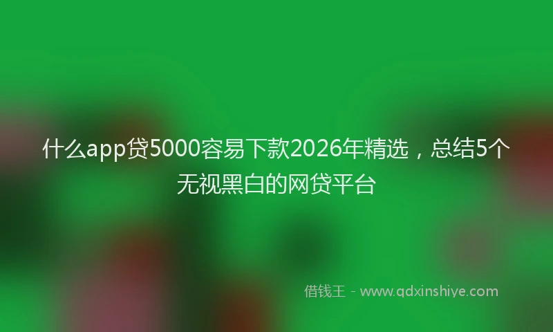 什么app贷5000容易下款2026年精选，总结5个无视黑白的网贷平台