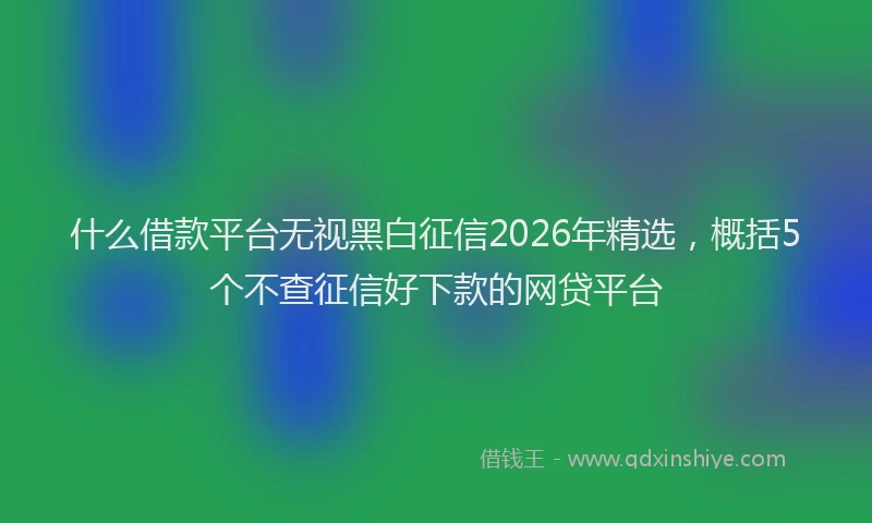 什么借款平台无视黑白征信2026年精选,概括5个不查征信好下款的网贷平台