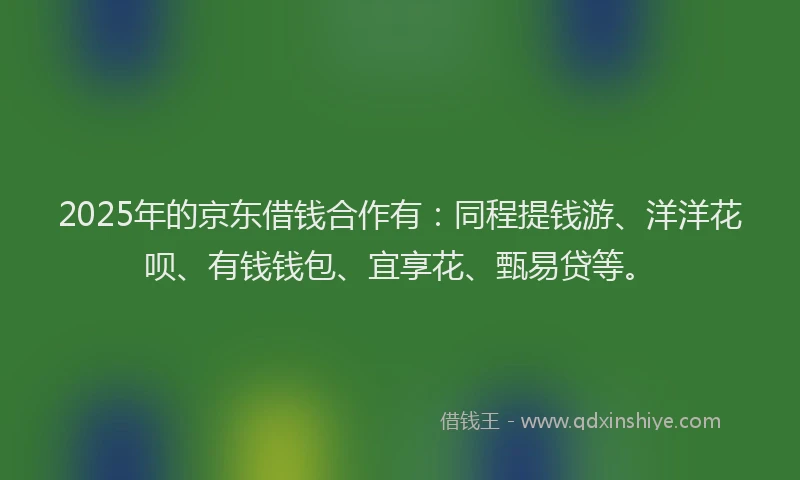 2025年的京东借钱合作有：同程提钱游、洋洋花呗、有钱钱包、宜享花、甄易贷等。