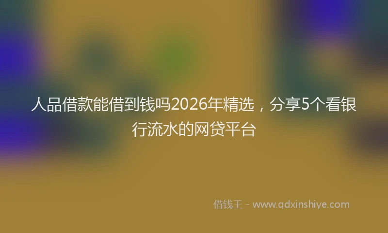 人品借款能借到钱吗2026年精选，分享5个看银行流水的网贷平台