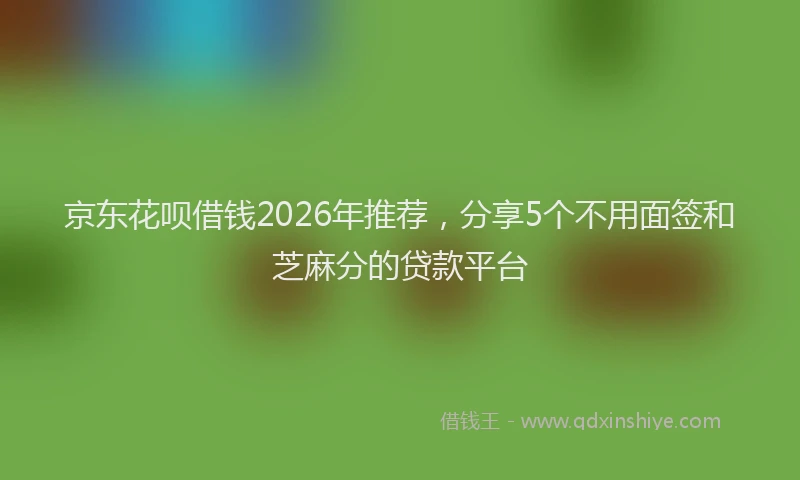京东花呗借钱2026年推荐，分享5个不用面签和芝麻分的贷款平台