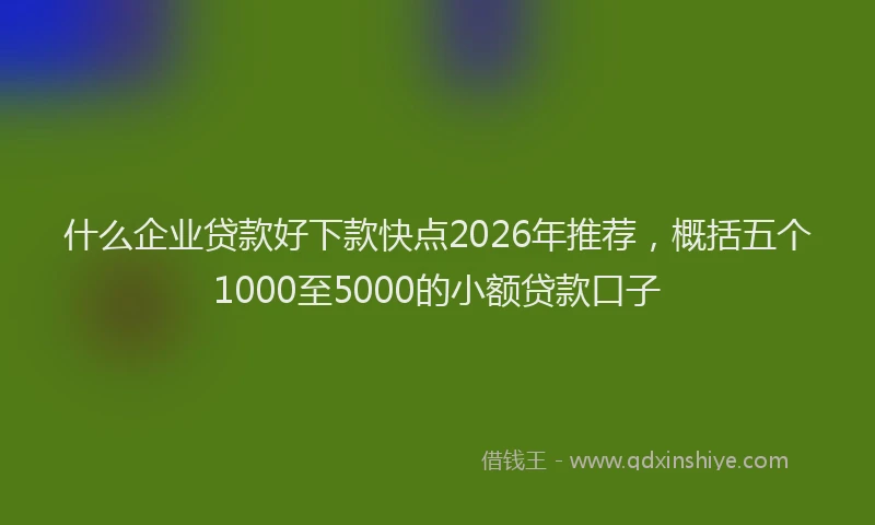什么企业贷款好下款快点2026年推荐，概括五个1000至5000的小额贷款口子