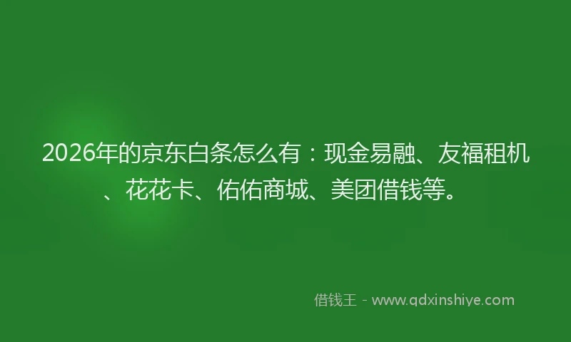 2026年的京东白条怎么有：现金易融、友福租机、花花卡、佑佑商城、美团借钱等。