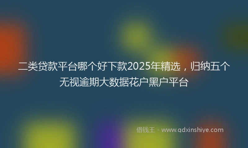 二类贷款平台哪个好下款2025年精选,归纳五个无视逾期大数据花户黑户平台