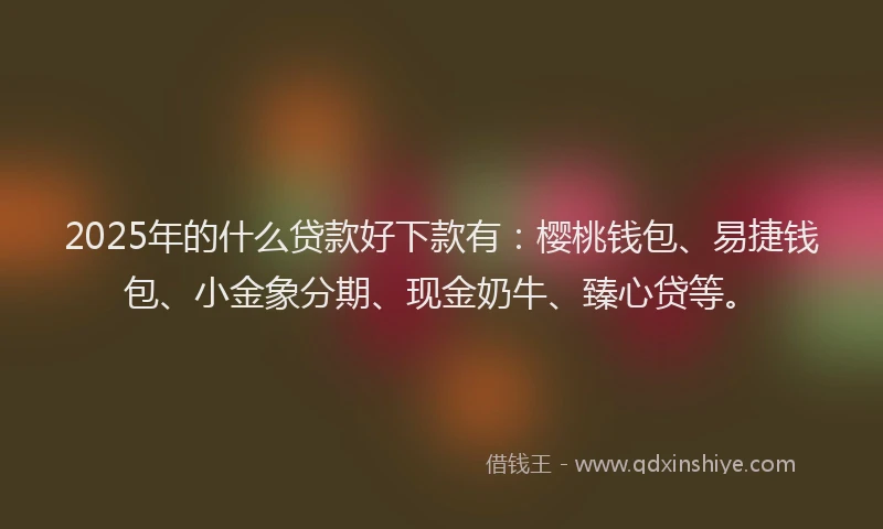 2025年的什么贷款好下款有：樱桃钱包、易捷钱包、小金象分期、现金奶牛、臻心贷等。