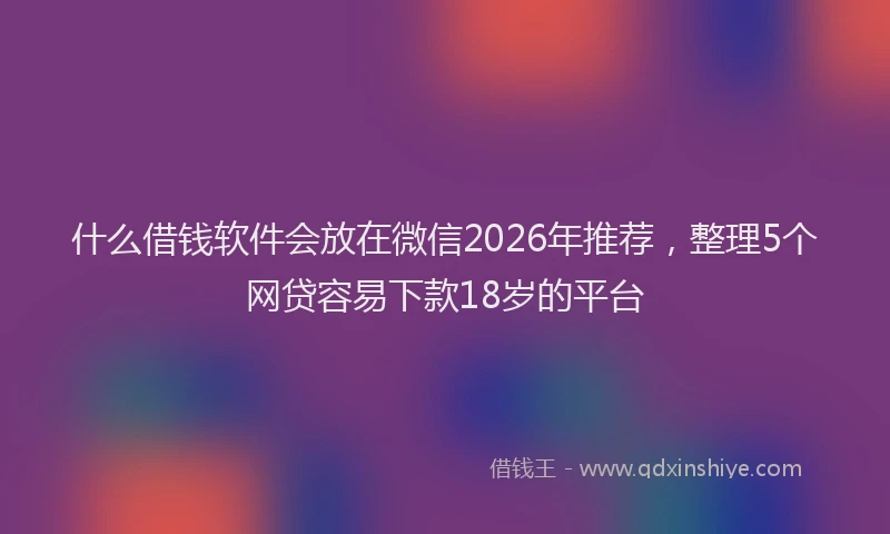 什么借钱软件会放在微信2026年推荐，整理5个网贷容易下款18岁的平台