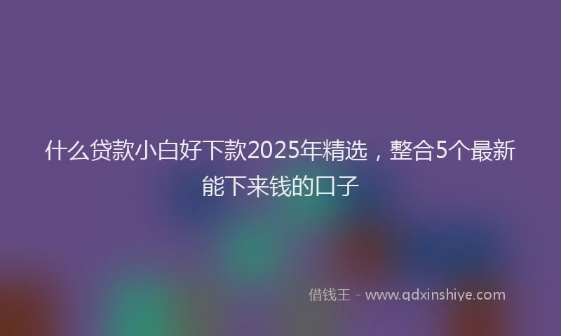 什么贷款小白好下款2025年精选，整合5个最新能下来钱的口子