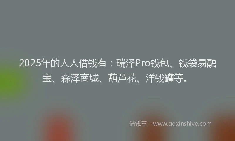 2025年的人人借钱有：瑞泽Pro钱包、钱袋易融宝、森泽商城、葫芦花、洋钱罐等。