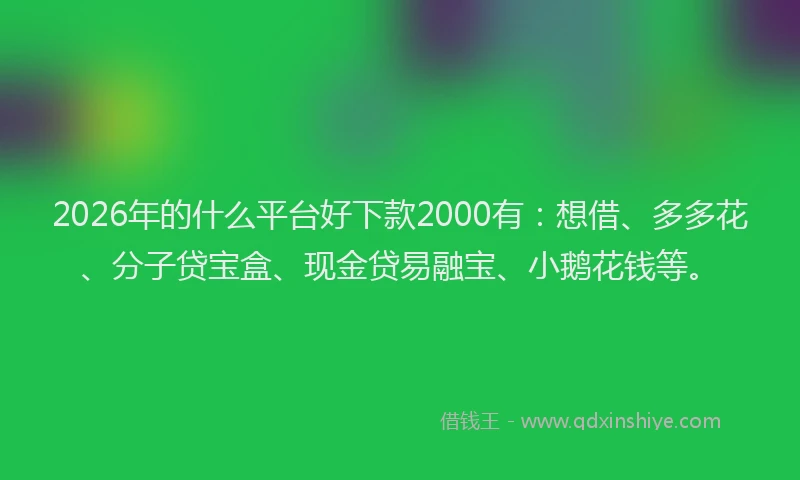 2026年的什么平台好下款2000有:想借、多多花、分子贷宝盒、现金贷易融宝、小鹅花钱等。