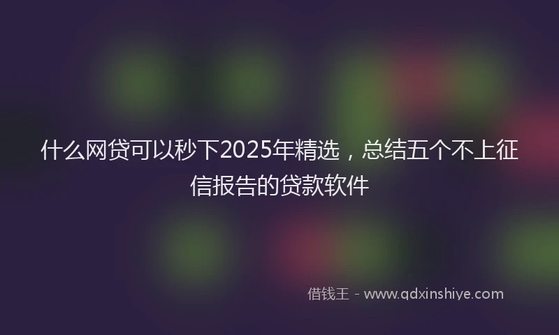 什么网贷可以秒下2025年精选，总结五个不上征信报告的贷款软件