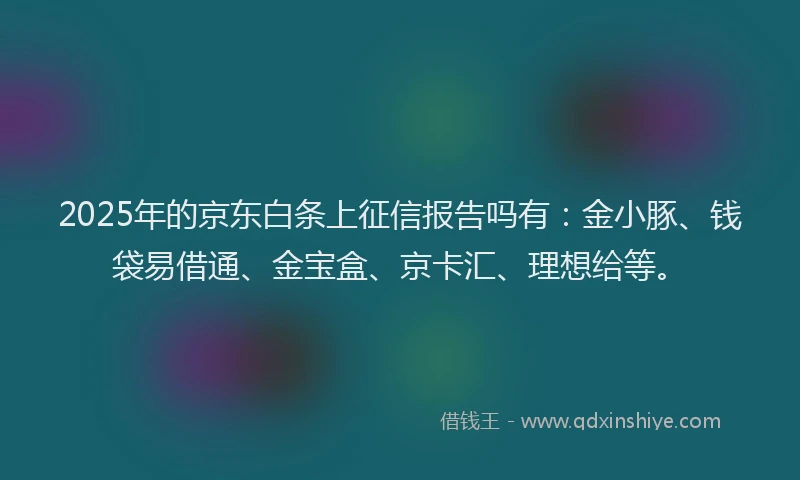 2025年的京东白条上征信报告吗有：金小豚、钱袋易借通、金宝盒、京卡汇、理想给等。