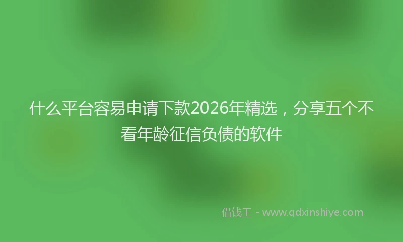 什么平台容易申请下款2026年精选，分享五个不看年龄征信负债的软件