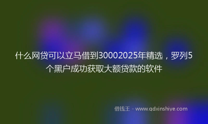 什么网贷可以立马借到30002025年精选，罗列5个黑户成功获取大额贷款的软件