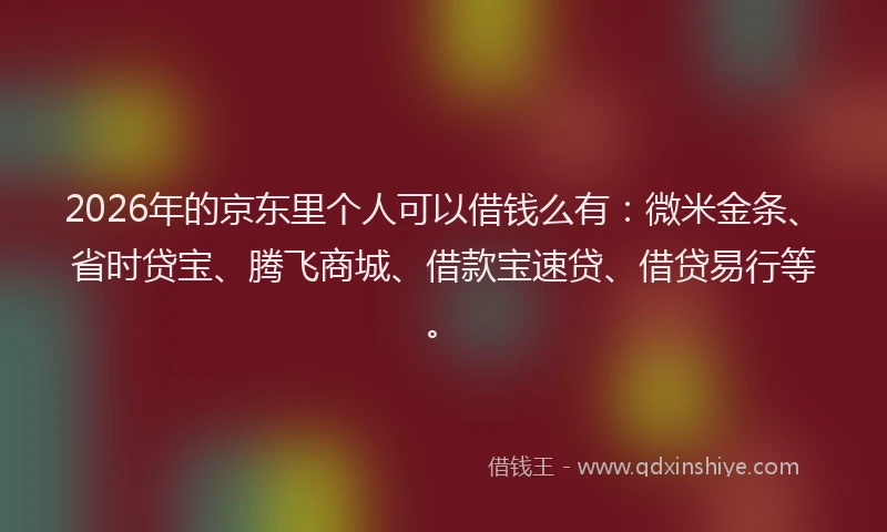 2026年的京东里个人可以借钱么有：微米金条、省时贷宝、腾飞商城、借款宝速贷、借贷易行等。