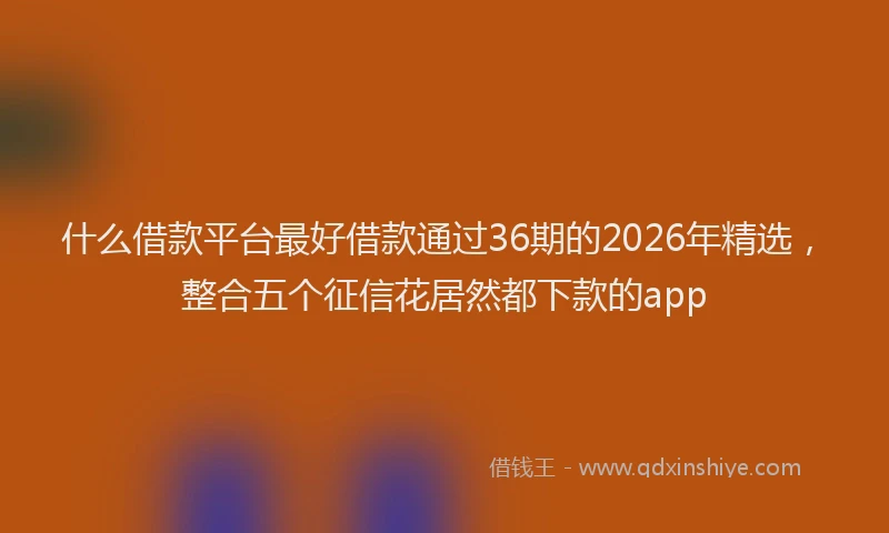 什么借款平台最好借款通过36期的2026年精选，整合五个征信花居然都下款的app