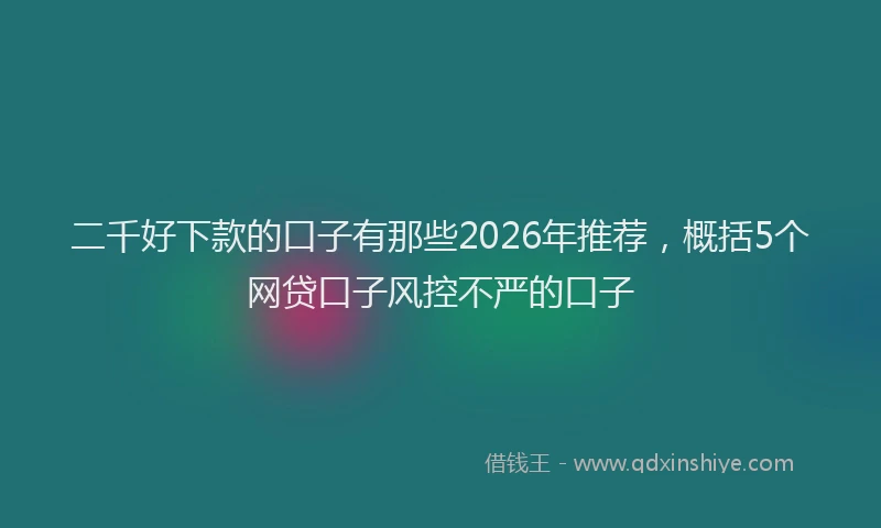 二千好下款的口子有那些2026年推荐，概括5个网贷口子风控不严的口子