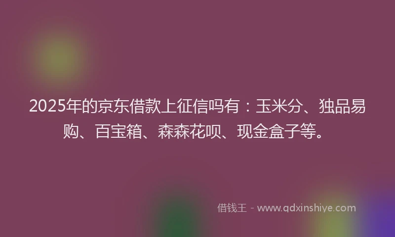 2025年的京东借款上征信吗有：玉米分、独品易购、百宝箱、森森花呗、现金盒子等。