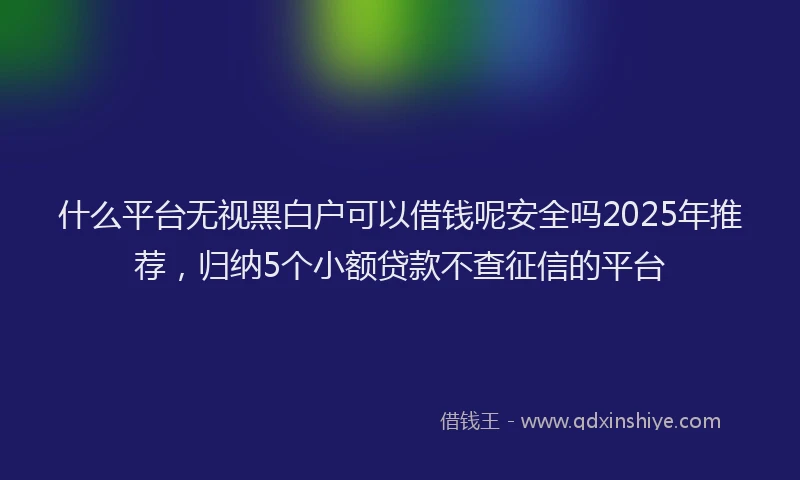 什么平台无视黑白户可以借钱呢安全吗2025年推荐，归纳5个小额贷款不查征信的平台
