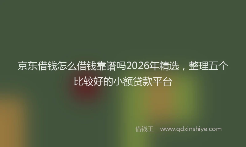 京东借钱怎么借钱靠谱吗2026年精选，整理五个比较好的小额贷款平台