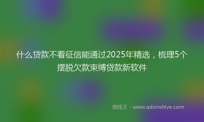 什么贷款不看征信能通过2025年精选，梳理5个摆脱欠款束缚贷款新软件
