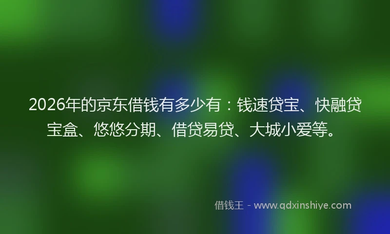 2026年的京东借钱有多少有:钱速贷宝、快融贷宝盒、悠悠分期、借贷易贷、大城小爱等。