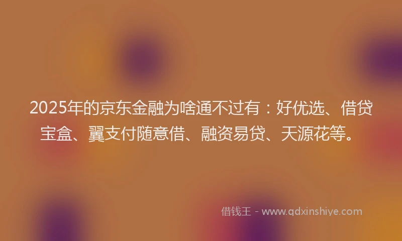 2025年的京东金融为啥通不过有：好优选、借贷宝盒、翼支付随意借、融资易贷、天源花等。
