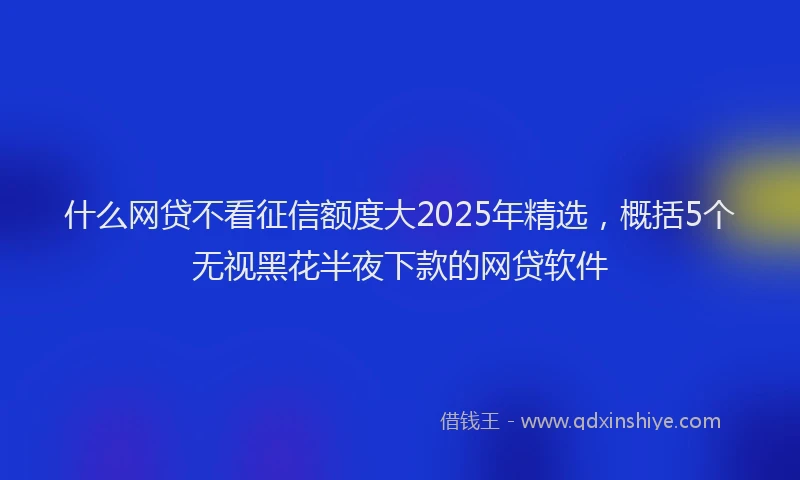 什么网贷不看征信额度大2025年精选，概括5个无视黑花半夜下款的网贷软件