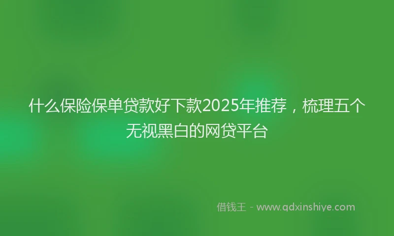 什么保险保单贷款好下款2025年推荐，梳理五个无视黑白的网贷平台