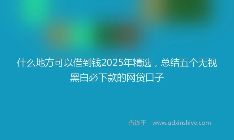什么地方可以借到钱2025年精选，总结五个无视黑白必下款的网贷口子