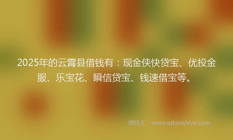 2025年的云霄县借钱有：现金侠快贷宝、优投金服、乐宝花、瞬信贷宝、钱速借宝等。